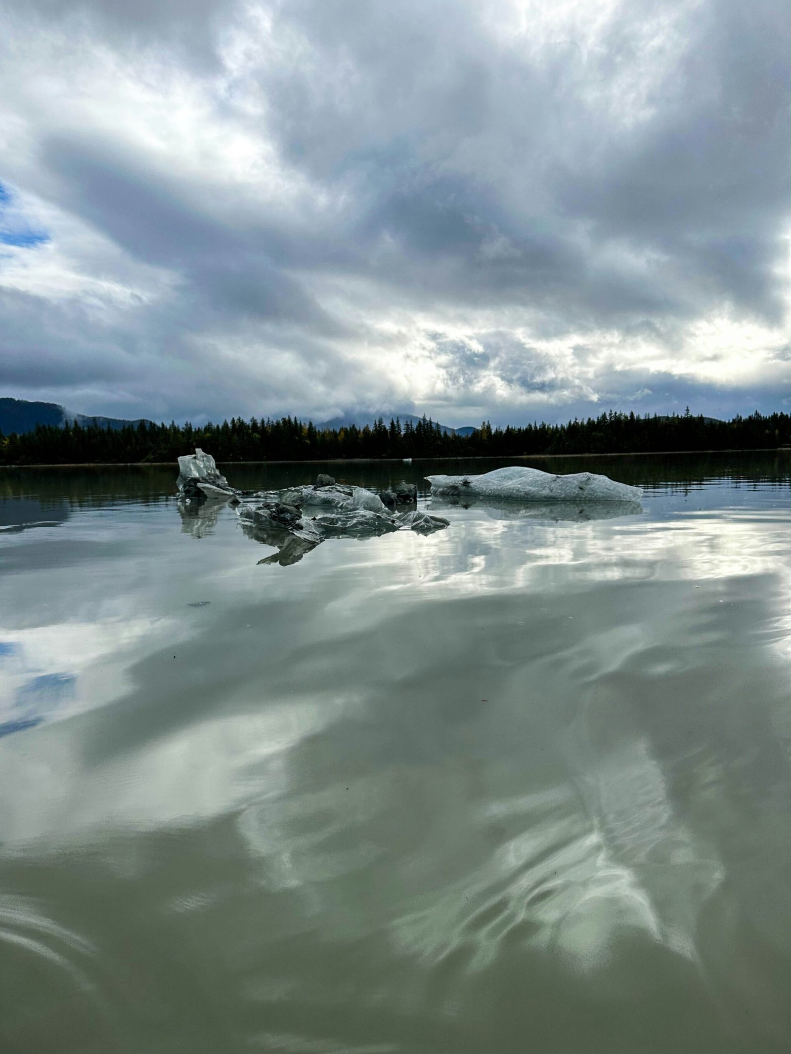 a body of water with icebergs floating in it