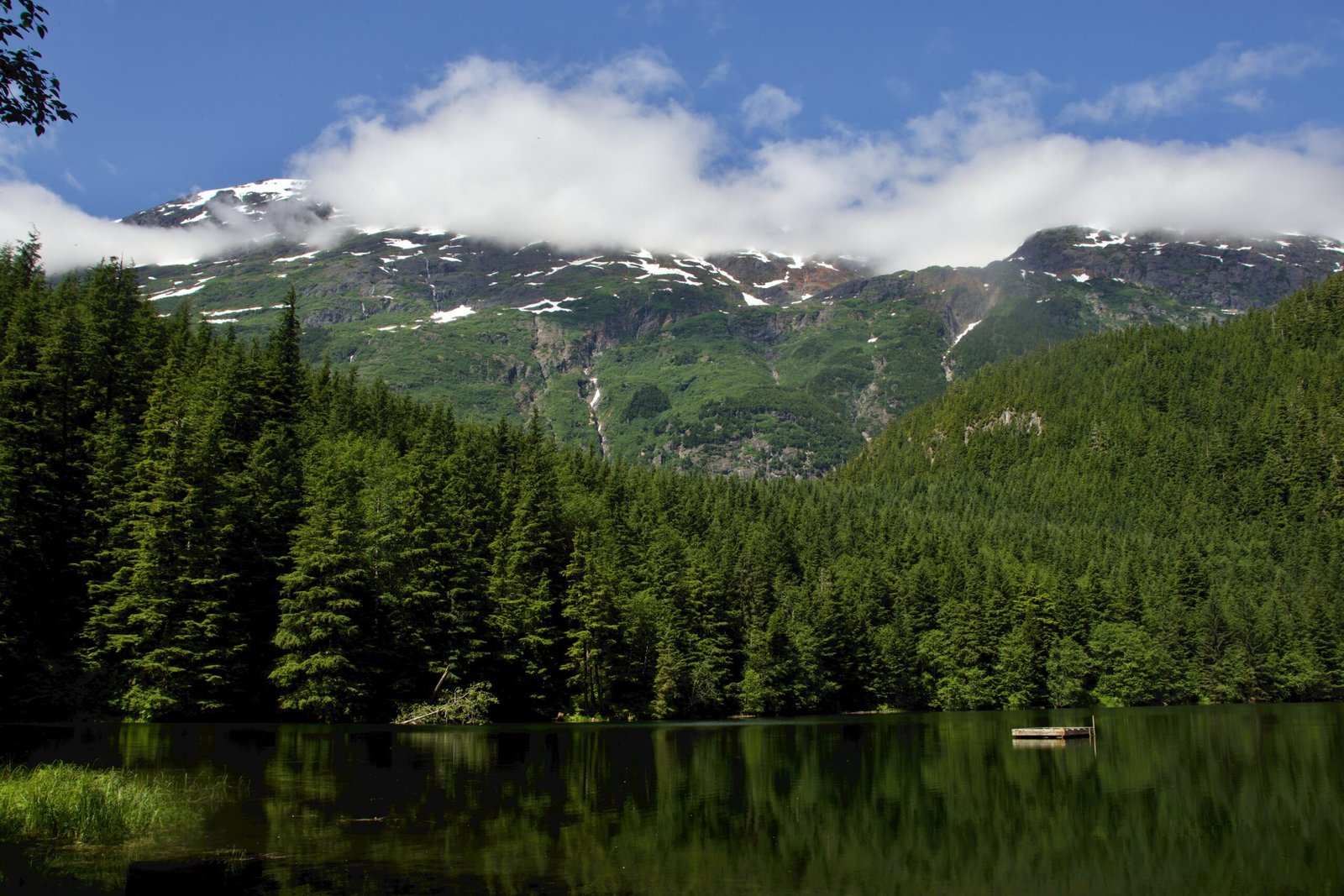 a lake surrounded by trees and mountains