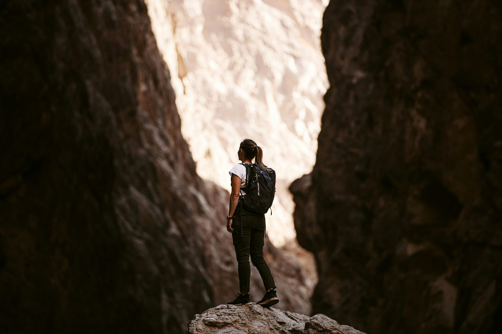 a person standing on a rock in a canyon